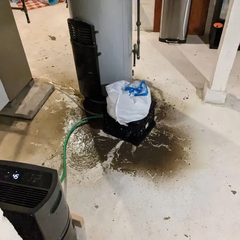 Sewage Backup Cleanup Service in Lock Haven, PA